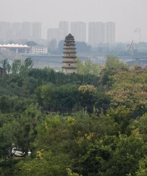 使命召唤最新传说上线时间深度解析