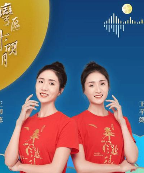 今晚澳门9点35分｜理论分析解析说明