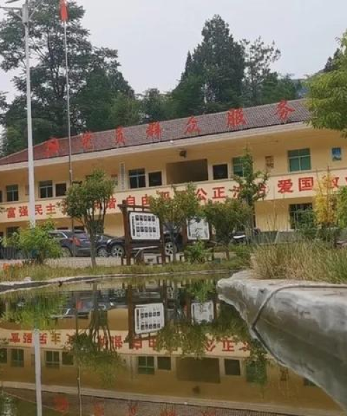 新房村最新动态，今日新闻速递消息