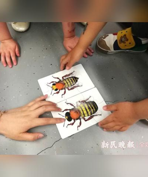 大猫励志语录，数据见证成长，奋斗的力量赋能未来