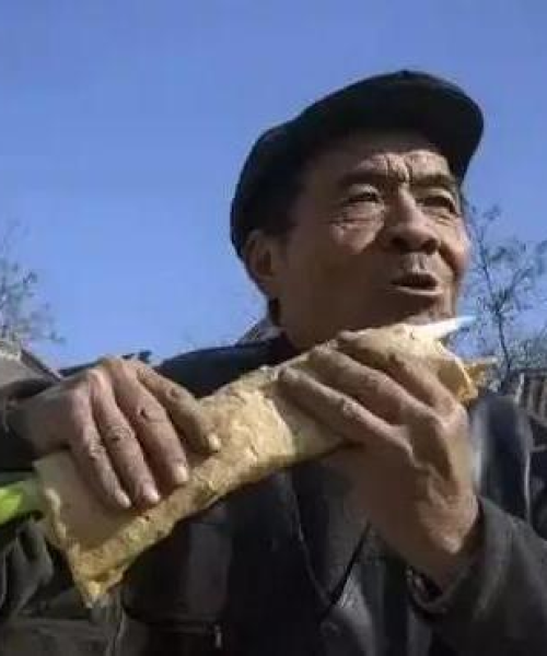 茶与养生 第7页