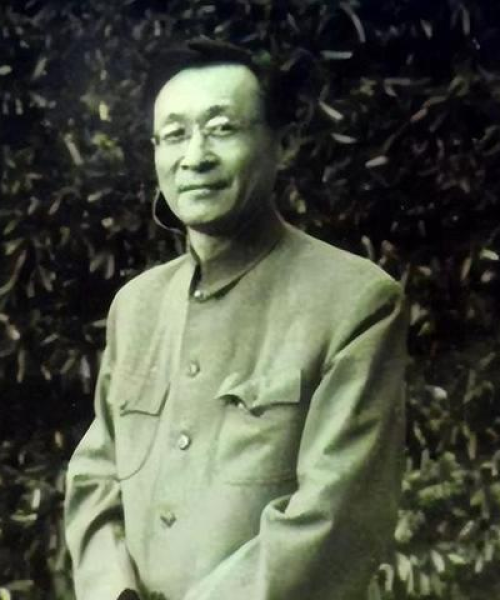陈皮产品 第4页