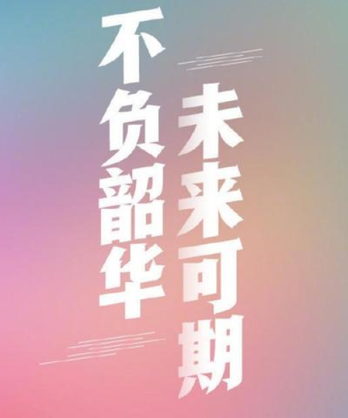 励志青春语录壁纸，数据与励志的完美结合