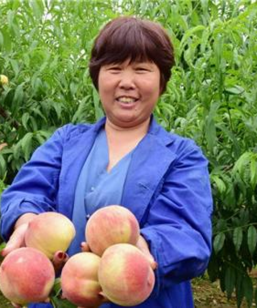 江西桃农数字科技引领智能农业革新，最新数据报告发布