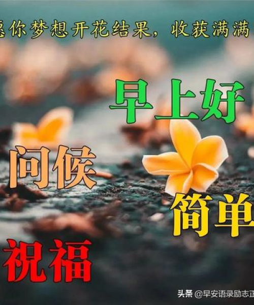 女性微商励志箴言，数据与行动成就辉煌成功之路。