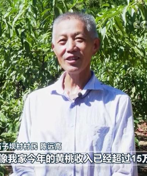 中国市场研究公司权威排名揭晓，江西桃农数字科技聚焦行业洞察