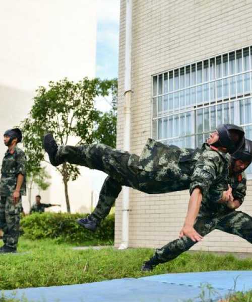 怀化极限玩家事件揭秘，探索背后的故事视频最新报道